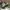 AIR JORDAN PINE GREEN photo 1