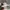 Adidas Casual Sneakers Pria white photo 1