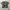 Tshirt Realtree photo 3