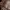 ZARA SUKAJAN REVESIBLE JACKET | OUTERWEAR | JSNG photo 7