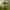 Yeezy Casual Sneakers Pria green photo 1