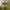 Yeezy Casual Sneakers Pria Green
