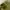 Yeezy Casual Sneakers Pria green photo 2