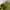Yeezy Casual Sneakers Pria Green