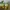 Yeezy Casual Sneakers Pria green photo 4