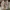 Yeezy Casual Sneakers Pria green photo 6