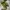 Yeezy Casual Sneakers Pria green photo 5