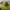 Yeezy Casual Sneakers Pria green photo 3