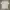 VANS Vintage Streetwear T-shirt Pria white photo 4