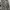Outer Custom motif photo 1