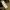 ESPIONAGE REPRO US ARMY BIG POCKET LONG PANTS | CELANA PANJA photo 9