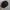 y2k Studed Cadethat Punk Style photo 5