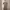 Slim V Cut Dress