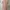 Soft Pink Mini Dress photo 2