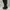 Brown Heeled Knee Boots | Boots | Heels photo 2