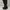 Brown Heeled Knee Boots | Boots | Heels