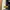 ZARA Streetwear Sportswear Bomber jacket Pria green yellow photo 8