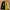 ZARA Streetwear Sportswear Bomber jacket Pria green yellow photo 1