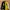 ZARA Streetwear Sportswear Bomber Jacket Pria Green Yellow