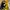ZARA Streetwear Sportswear Bomber jacket Pria green yellow photo 5