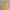Dickies frogskin duck hunter cargo shorts pants photo 1