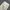 Celana kulot broken white celana kulot wanita full furing photo 2
