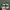 New Balance Streetwear Sneakers Pria green photo 5