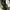 Stroller Baby Elle S 380 Orbit / Baby Elle Orbit / Stroller  photo 4
