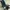 Stroller Baby Elle S 380 Orbit / Baby Elle Orbit / Stroller  photo 7