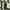 Stroller Baby Elle S 380 Orbit / Baby Elle Orbit / Stroller  photo 1