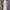 Hydro Flask Tumbler 32oz Wide Mouth Flex Cap  photo 2