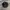 Kangol Luxury Casual Hat Pria black photo 1