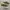 Converse One Star Skate Suede Low Imperial Green Original photo 2