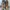 Sandal Hak High Heels Yongki Komaladi Ukuran 40 Wanita Warna photo 5