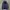 Dickies Navy Outdoor Jacket