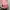 Jersey olahraga jersey wanita warna dusty pink photo 1