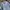 Radical Times in Paradise by Quiksilver Jeans Button Shirt photo 2
