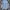 Radical Times in Paradise by Quiksilver Jeans Button Shirt photo 5