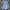 Radical Times in Paradise by Quiksilver Jeans Button Shirt photo 4