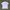 T shirt polos by Basic House photo 1