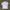 T shirt polos by Basic House photo 2