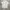 Vintage Kansai Prosumo Short Sleeve Button Shirt photo 1