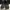 Adidas Tubular photo 1