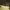 Adidas Tubular photo 6