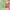 (🍊strawberry matcha outfit oneset pink green coquette fairy photo 1