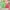 (🍊strawberry Matcha Outfit Oneset Pink Green Coquette Fairy