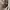 2000’s coen faded painter pants photo 5