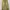 2000’s coen faded painter pants photo 1