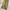 2000’s coen faded painter pants photo 2