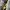00s celeb shop loose grey jeans photo 4